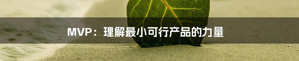 MVP:理解最小可行产品的力量