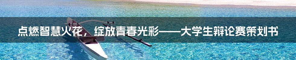 点燃智慧火花,绽放青春光彩——大学生辩论赛策划书