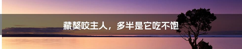 藏獒咬主人,多半是它吃不饱