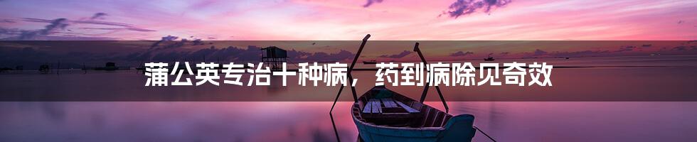 蒲公英专治十种病，药到病除见奇效