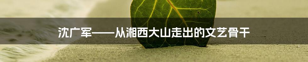 沈广军——从湘西大山走出的文艺骨干