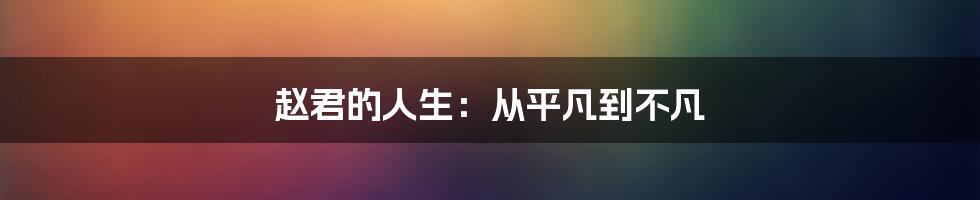 赵君的人生：从平凡到不凡