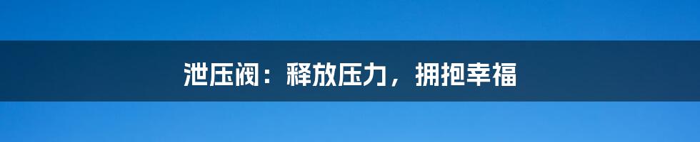 泄压阀:释放压力,拥抱幸福