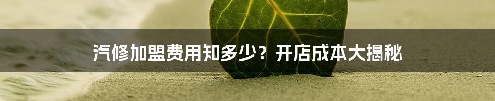 汽修加盟费用知多少?开店成本大揭秘