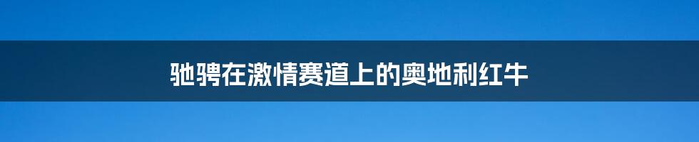 驰骋在激情赛道上的奥地利红牛