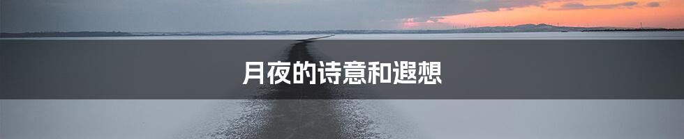 月夜的诗意和遐想