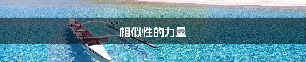 相似性的力量
