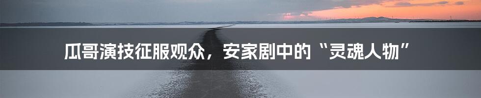 瓜哥演技征服观众,安家剧中的“灵魂人物”