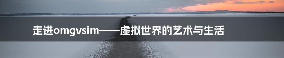 走进omgvsim——虚拟世界的艺术与生活