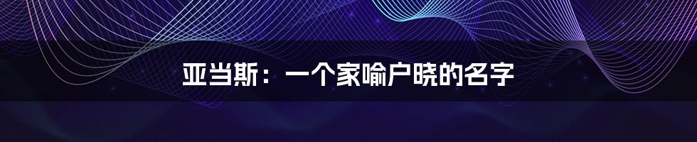 亚当斯：一个家喻户晓的名字