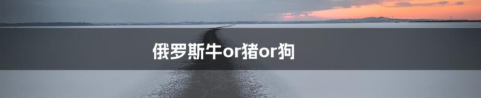 俄罗斯牛or猪or狗