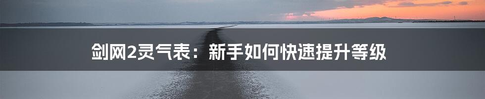 剑网2灵气表:新手如何快速提升等级