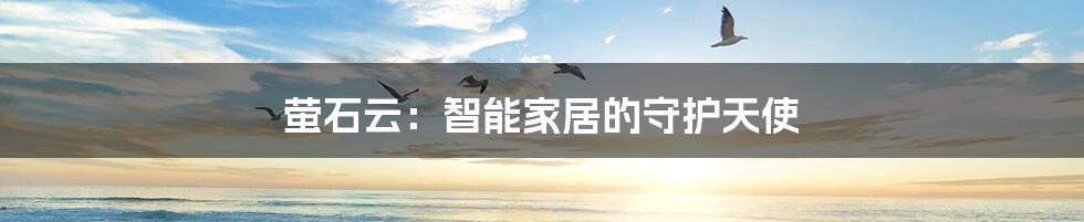 萤石云：智能家居的守护天使