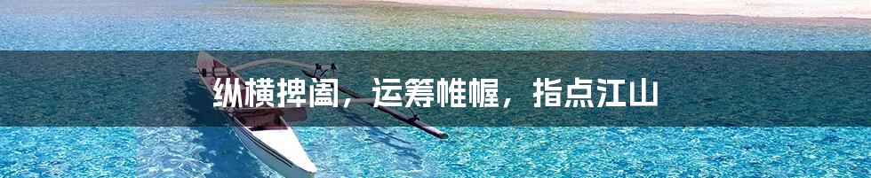 纵横捭阖,运筹帷幄,指点江山