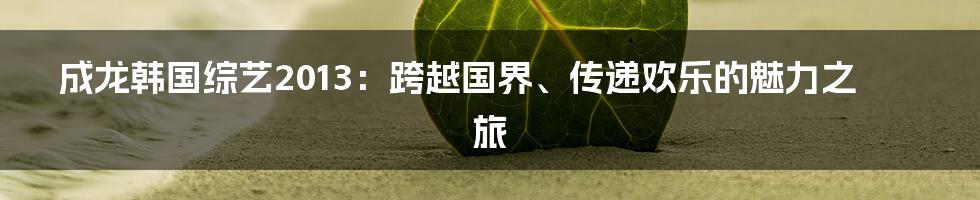 成龙韩国综艺2013：跨越国界、传递欢乐的魅力之旅