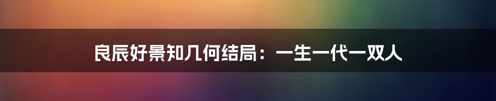 良辰好景知几何结局：一生一代一双人
