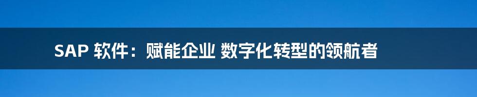 SAP 软件：赋能企业 数字化转型的领航者