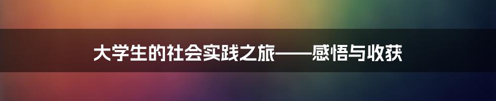 大学生的社会实践之旅——感悟与收获