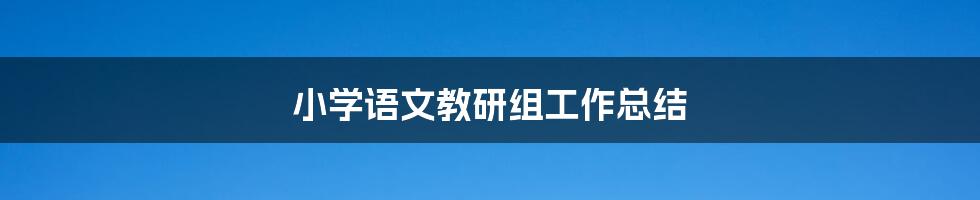 小学语文教研组工作总结