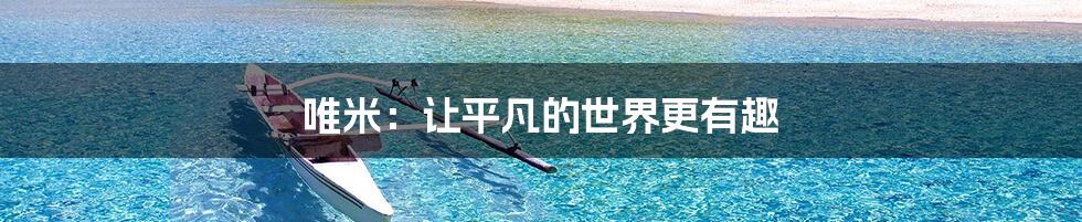 唯米:让平凡的世界更有趣