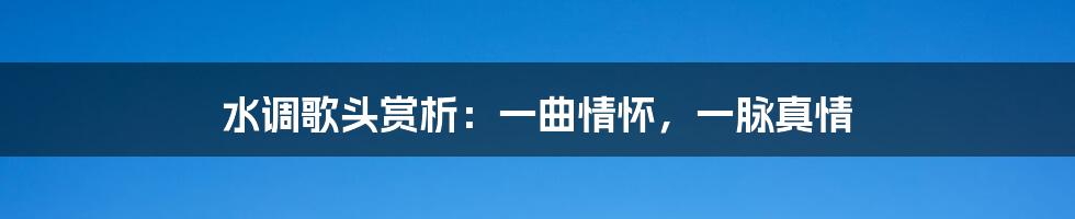 水调歌头赏析：一曲情怀，一脉真情
