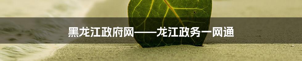 黑龙江政府网——龙江政务一网通