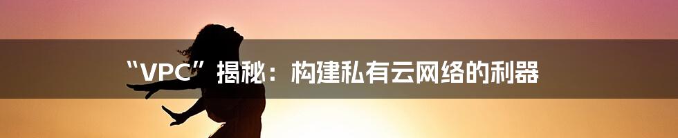 “VPC”揭秘:构建私有云网络的利器