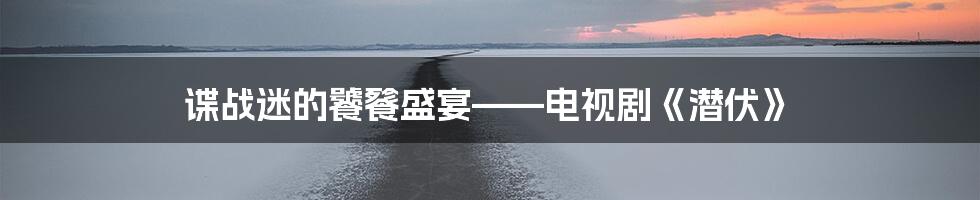 谍战迷的饕餮盛宴——电视剧《潜伏》