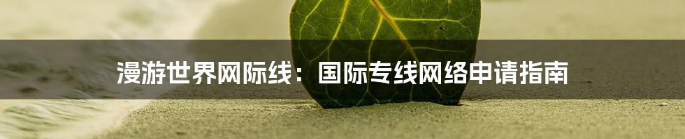 漫游世界网际线:国际专线网络申请指南