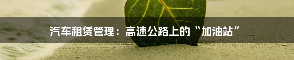 汽车租赁管理:高速公路上的“加油站”