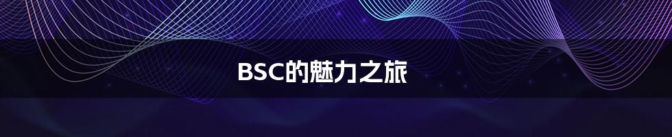 BSC的魅力之旅