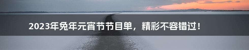2023年兔年元宵节节目单,精彩不容错过!
