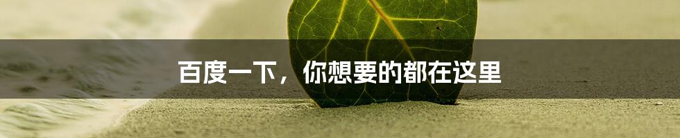 百度一下，你想要的都在这里