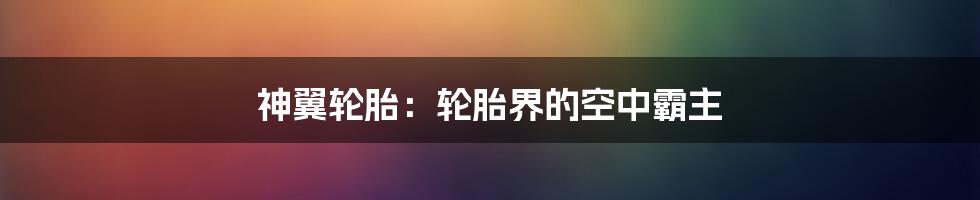 神翼轮胎:轮胎界的空中霸主