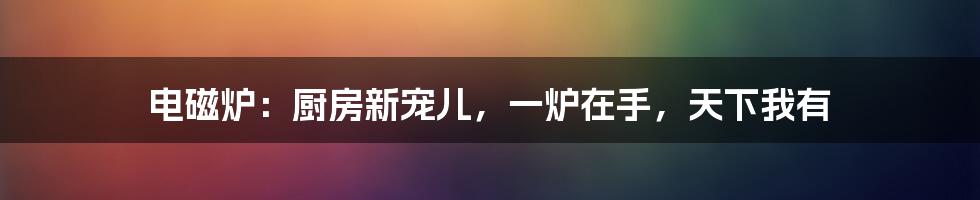 电磁炉：厨房新宠儿，一炉在手，天下我有