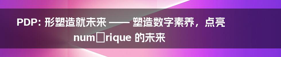 PDP: 形塑造就未来 —— 塑造数字素养,点亮 numérique 的未来