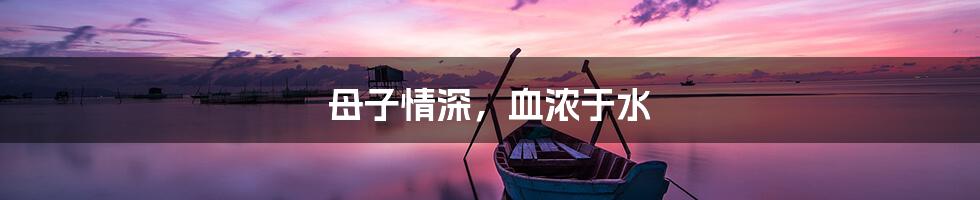 母子情深，血浓于水