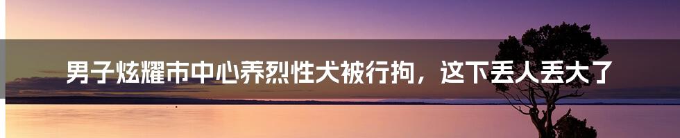 男子炫耀市中心养烈性犬被行拘，这下丢人丢大了