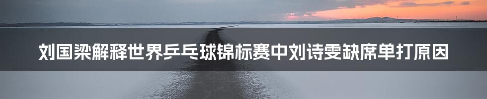 刘国梁解释世界乒乓球锦标赛中刘诗雯缺席单打原因