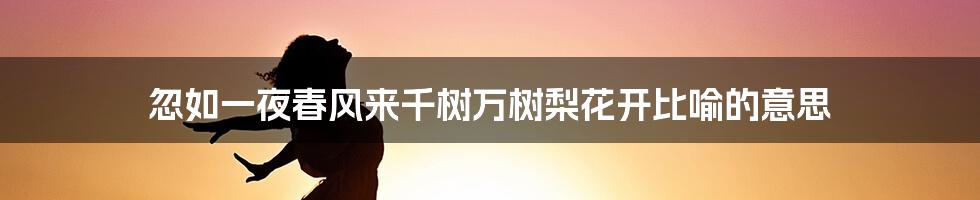 忽如一夜春风来千树万树梨花开比喻的意思