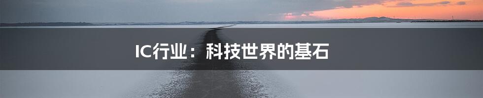 IC行业:科技世界的基石