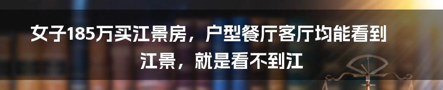 女子185万买江景房,户型餐厅客厅均能看到江景,就是看不到江