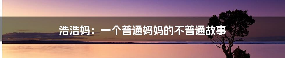 浩浩妈:一个普通妈妈的不普通故事