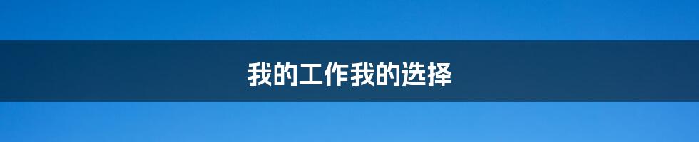 我的工作我的选择
