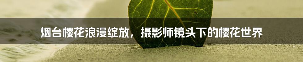 烟台樱花浪漫绽放,摄影师镜头下的樱花世界