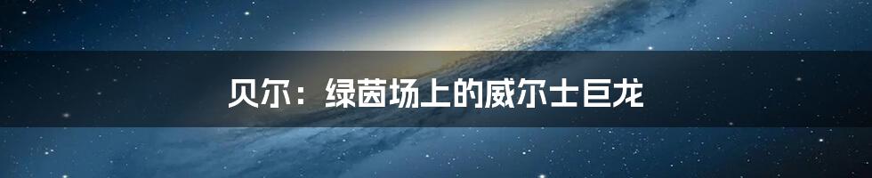 贝尔：绿茵场上的威尔士巨龙