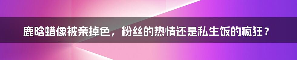 鹿晗蜡像被亲掉色,粉丝的热情还是私生饭的疯狂?