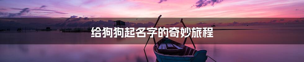 给狗狗起名字的奇妙旅程