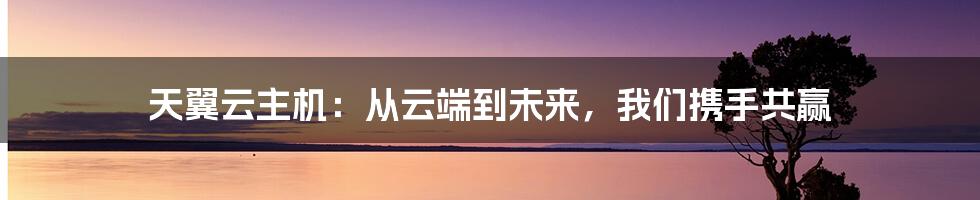 天翼云主机：从云端到未来，我们携手共赢