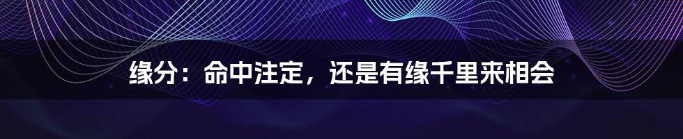 缘分:命中注定,还是有缘千里来相会